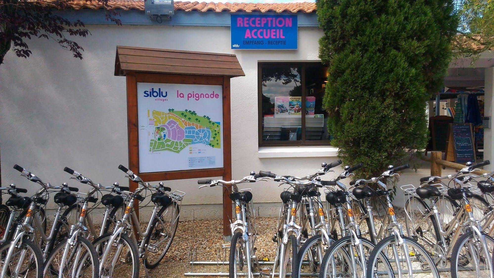 Camping Officiel Siblu La Pignade Ronce-les-Bains Eksteriør bilde